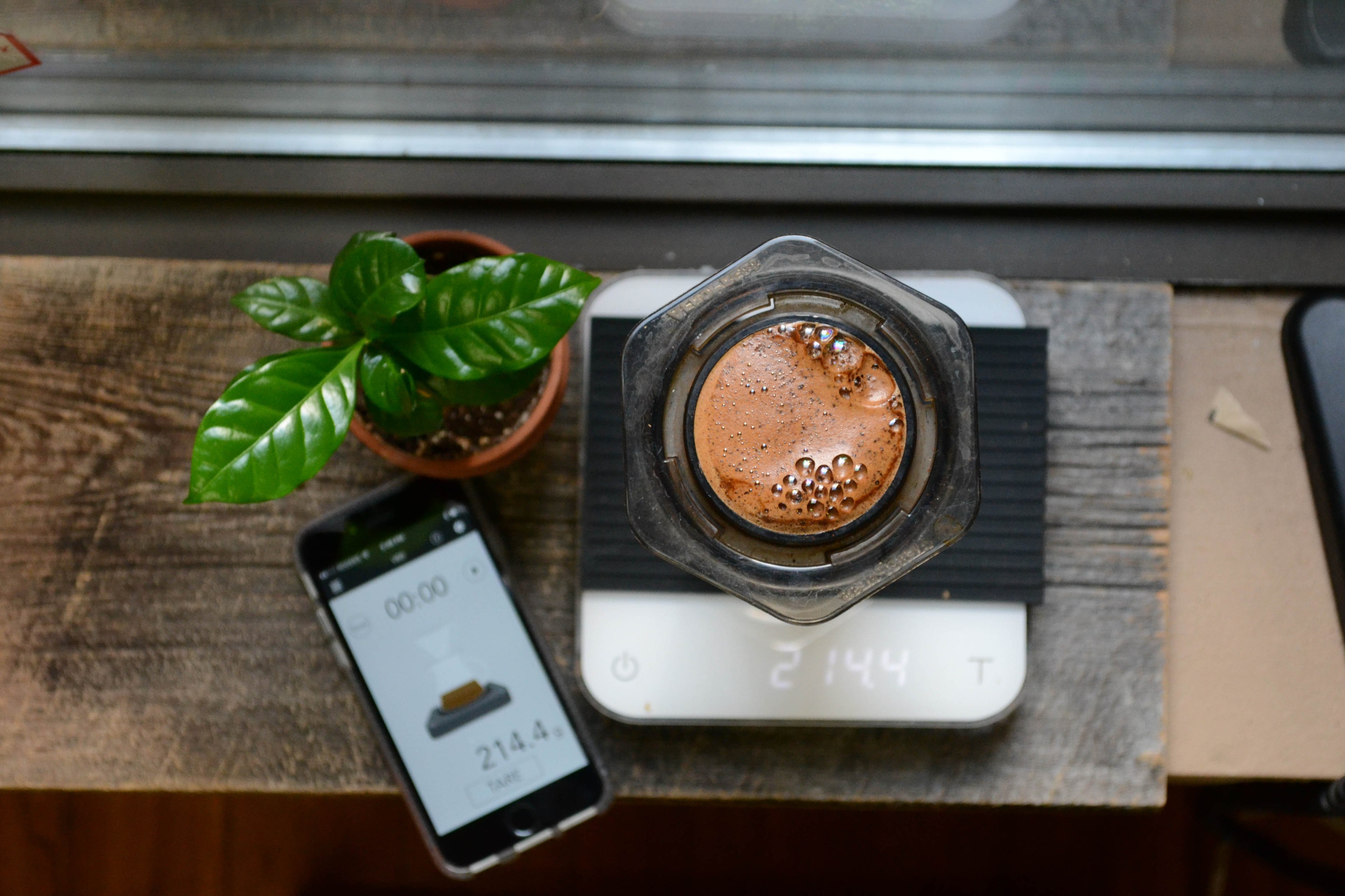 Gear Spotlight: Aeropress