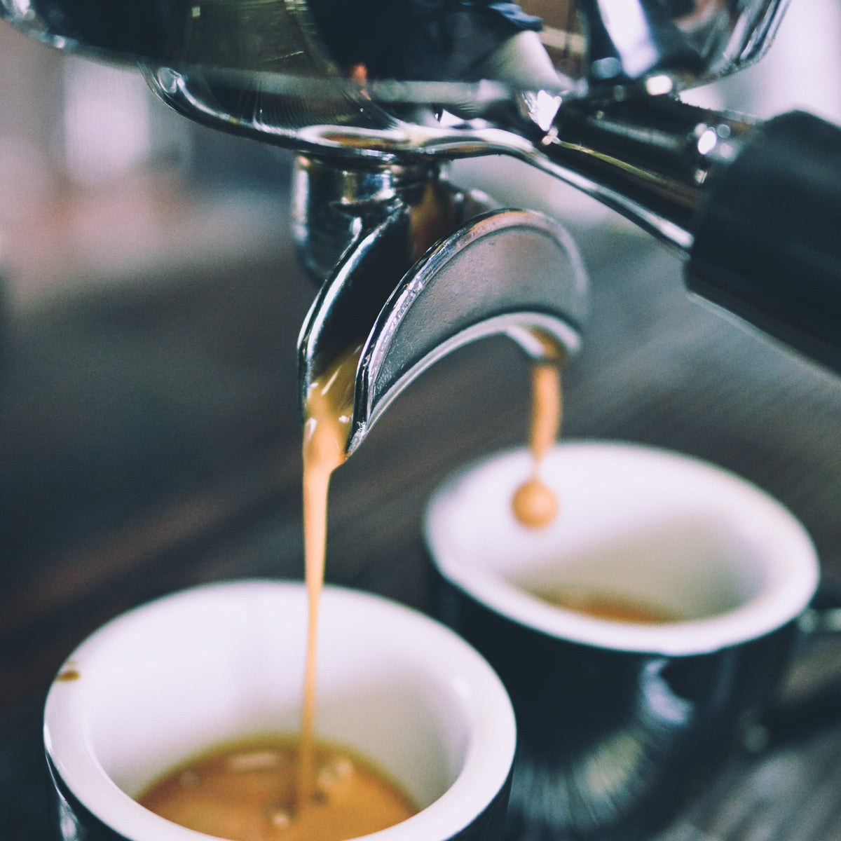 Java Works Coffee Roasters │ Coffee, Tea & Gear | Since 1968 – Javaworks.ca