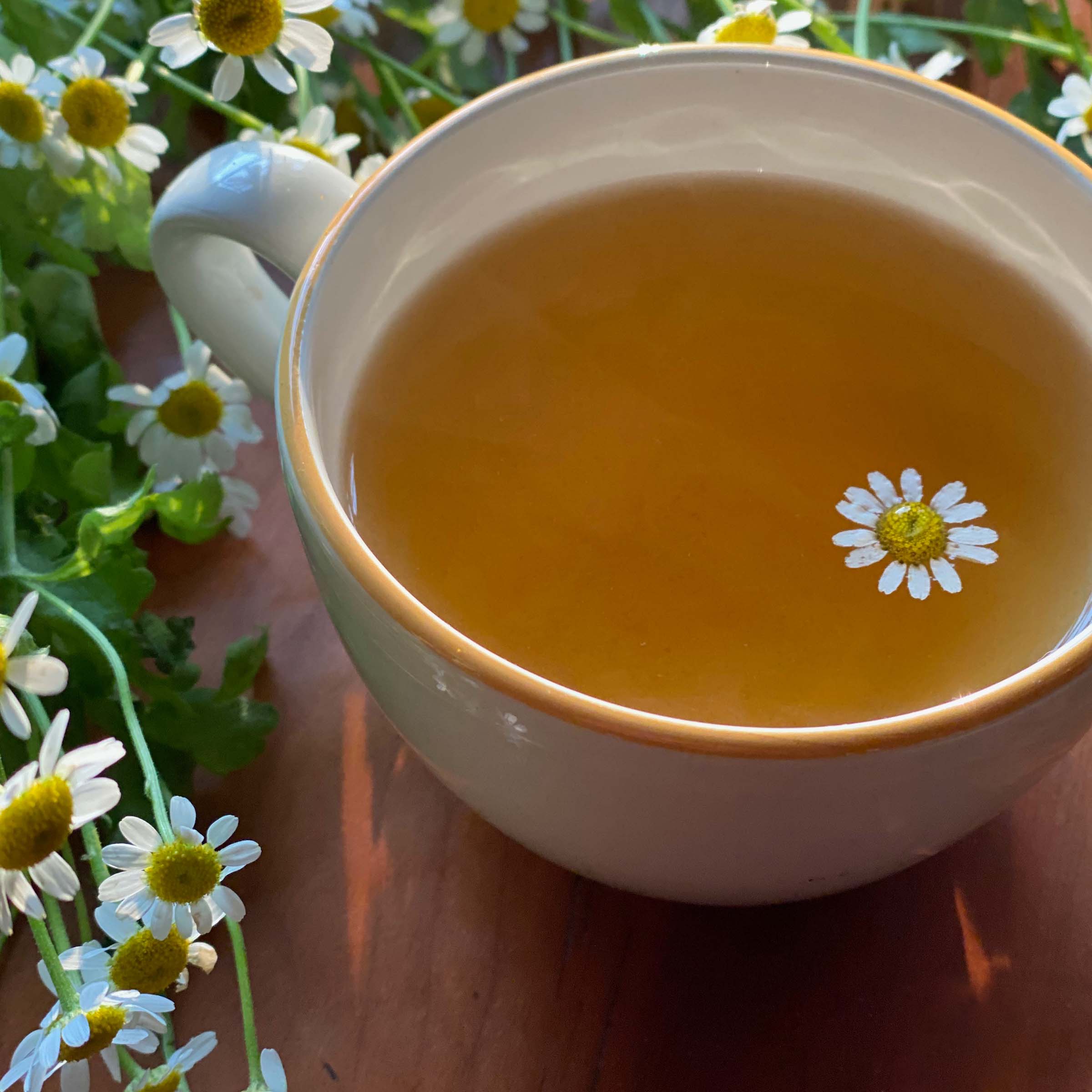 Bigelow Cozy Chamomile Tea