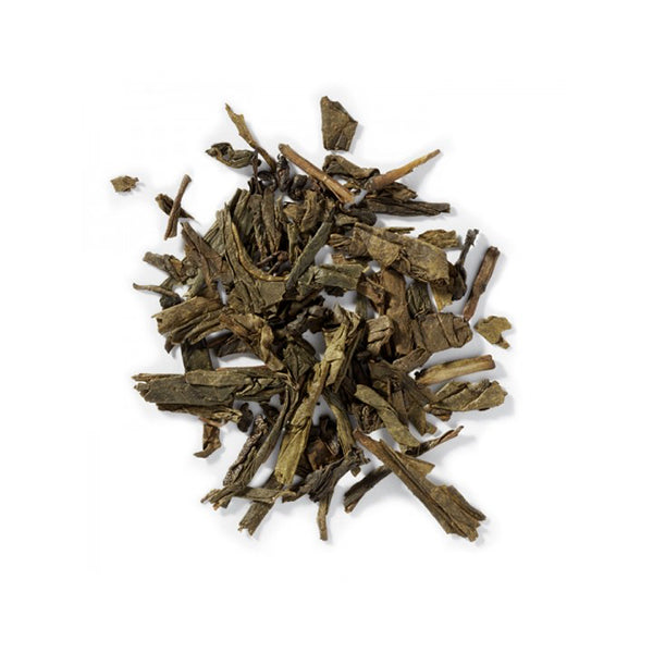 Mighty Leaf Organic Hojicha Green Tea