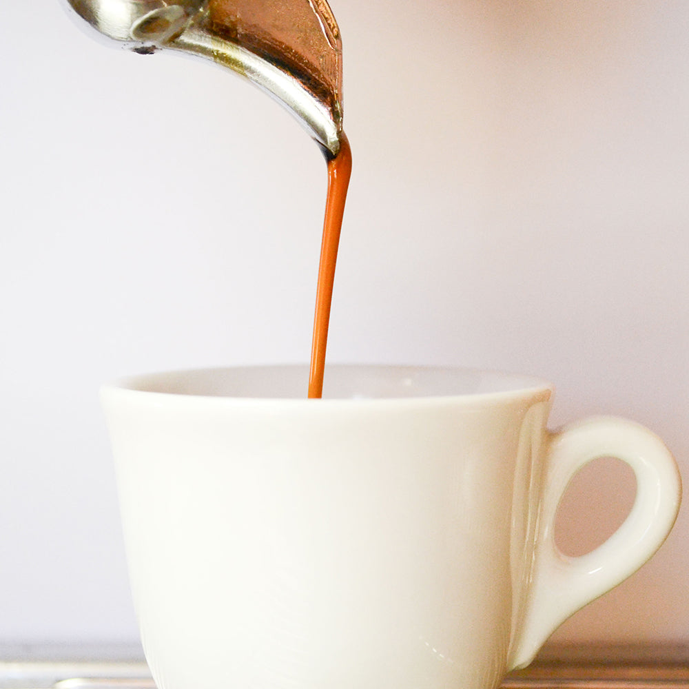 Bravado Gourmet Espresso